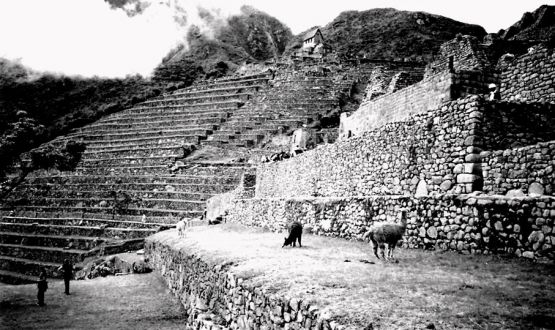Foto 3/Machu Pichu en blanco y negro.