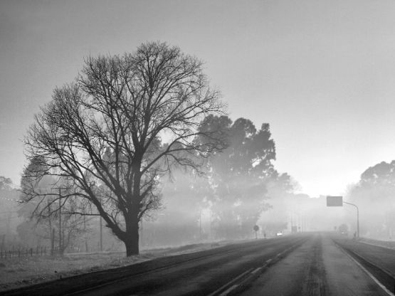 Foto 1/Niebla y sol de la maana