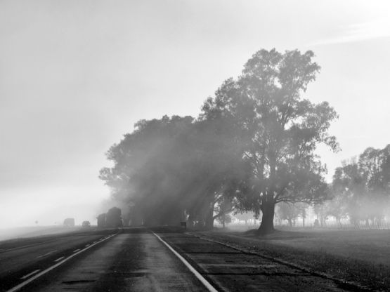 Foto 2/Niebla y sol de la maana