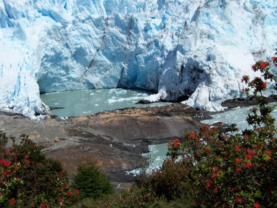 Foto 4/El Glaciar Perito Moreno