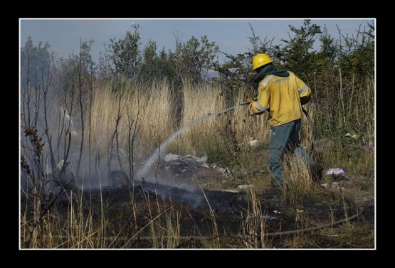 Foto 1/Incendio Forestal