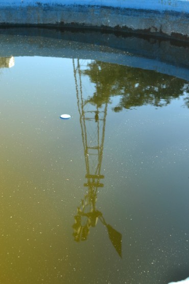 Foto 2/Reflejos en el agua de tanque