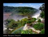 Parque Nacional Iguaz - Argentina