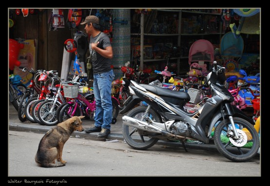 Foto 3/Por las calles de Vietnam...