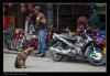 Por las calles de Vietnam...