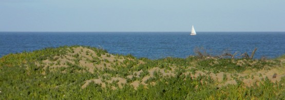 Foto 2/El velerito en el horizonte.