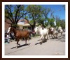 Fiesta del caballo en la ciudad de Bragado!