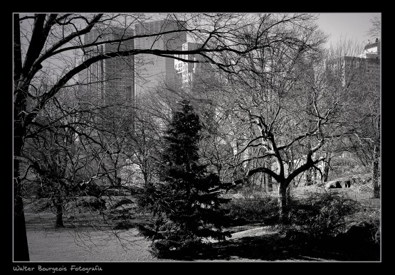 Foto 3/Central Park
