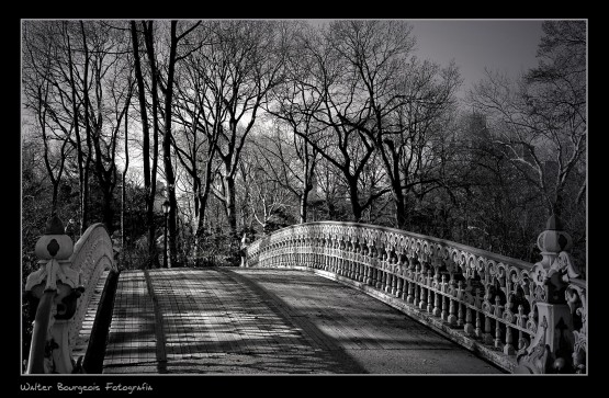 Foto 4/Central Park
