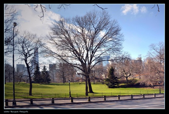 Foto 1/Central Park... New York