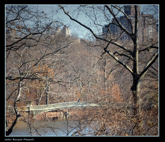 Foto 2/Central Park... New York