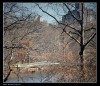 Central Park... New York