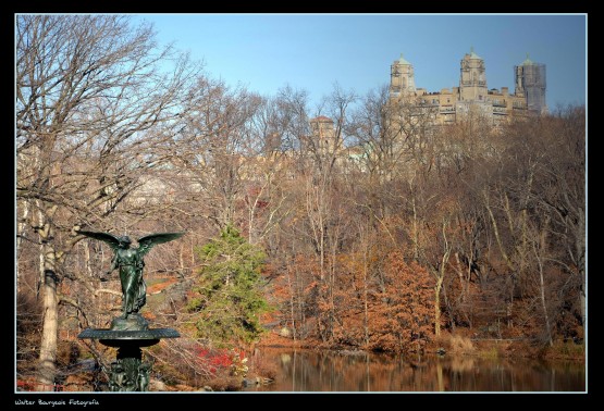 Foto 4/Central Park... New York