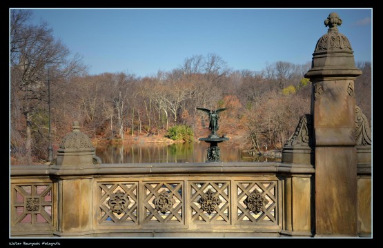 Foto 5/Central Park... New York