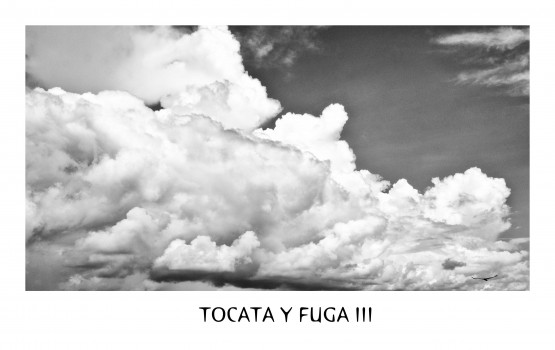 Foto 3/TOCATA Y FUGA