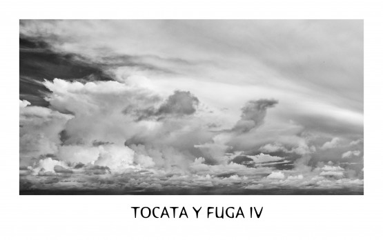 Foto 4/TOCATA Y FUGA