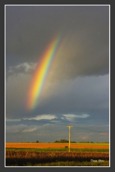 Foto 1/Viajando hacia el arco iris