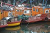 barcos de pesca argentinos. . .