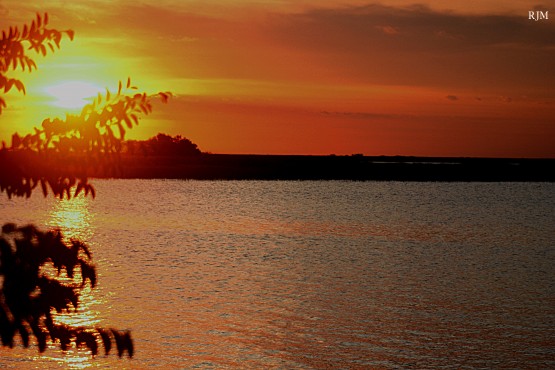 Foto 2/puesta de sol en estero del ibera