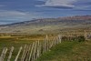 Patagonia 7 viaje-el campo cont