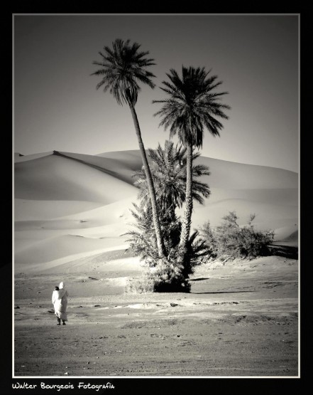 Foto 1/El desierto - Marruecos