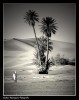 El desierto - Marruecos