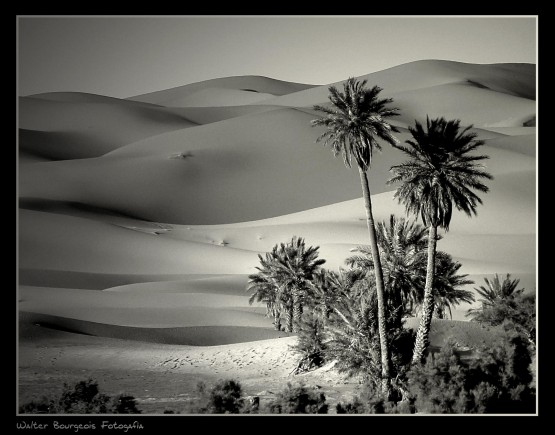 Foto 3/El desierto - Marruecos