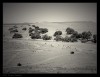 El desierto - Marruecos
