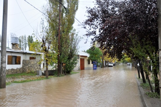 Foto 4/Mi barrio inundado