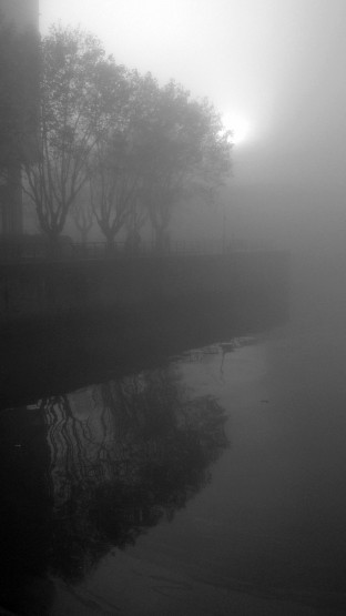 Foto 5/Maana de niebla