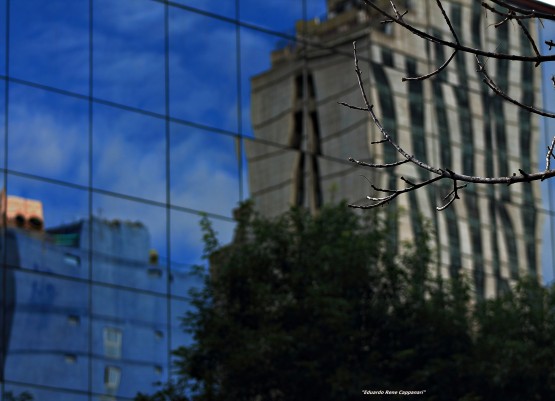 Foto 3/Reflejos de Ciudad` Mirando la ciudad por reflejos