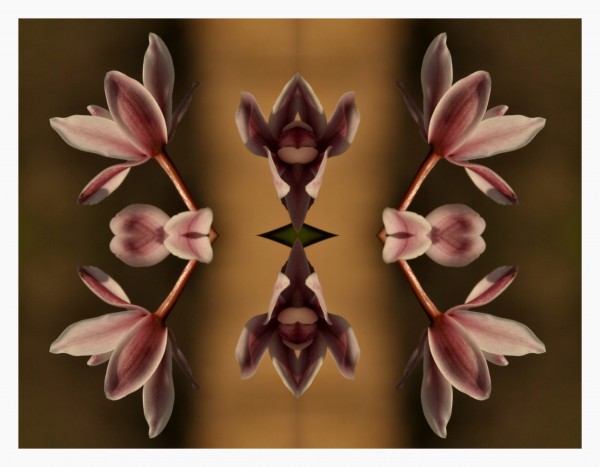 Foto 2/simetrias