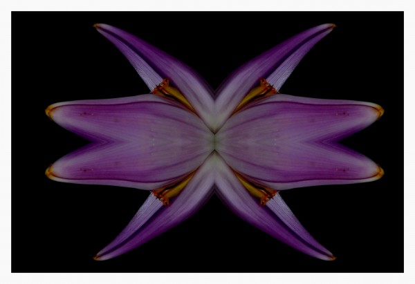 Foto 3/simetrias