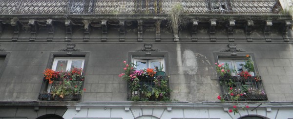 Foto 3/Balcones floridos