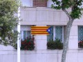 Catalunya: 80,7 por ciento per la independncia