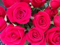 `Rosas`