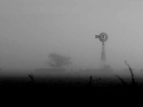 Foto 1/de la niebla y la maana