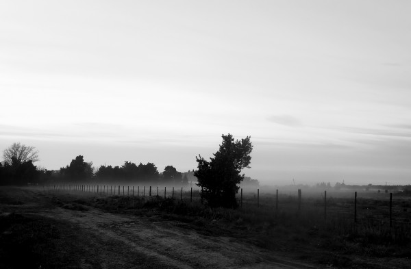 Foto 3/de la niebla y la maana