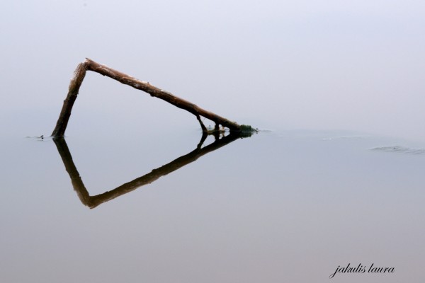 Foto 4/Abstracciones en el lago Epecuen