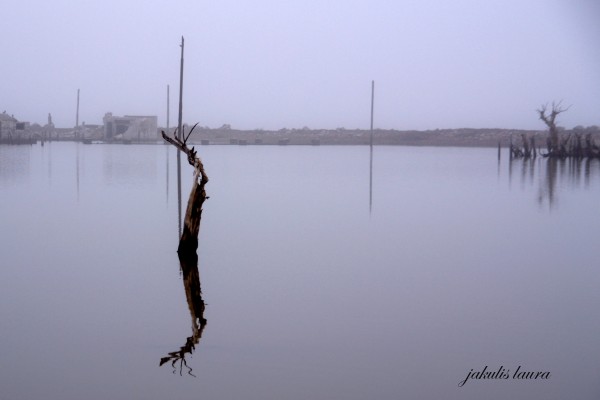 Foto 5/Abstracciones en el lago Epecuen