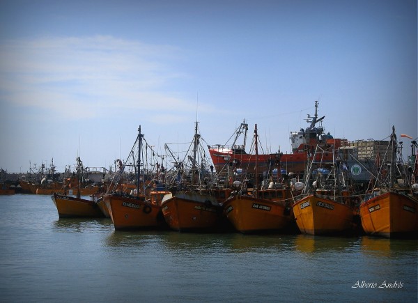 Foto 1/Los Pesqueros de Mar del Plata