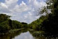 Un paseo por Los Everglades