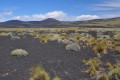 payunia, tierra de volcanes
