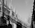 Recorriendo la terraza del Duomo