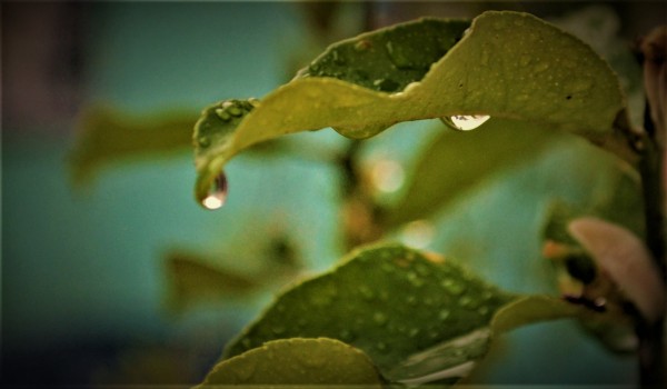 Foto 1/Rain