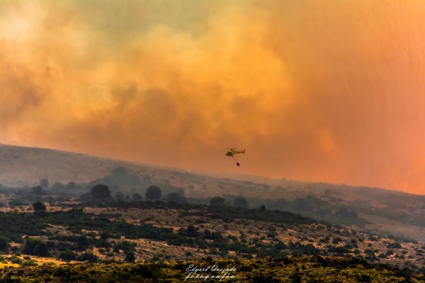 Foto 5/Incendio Forestal