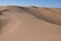 desierto de los Altos Limpios (Lavalle-Mendoza).-
