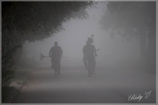 Foto 1/Niebla en el Barrio