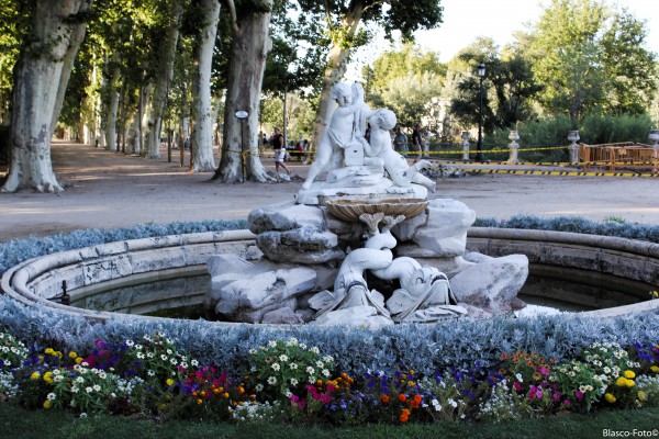 Foto 2/Jardines de Aranjuez
