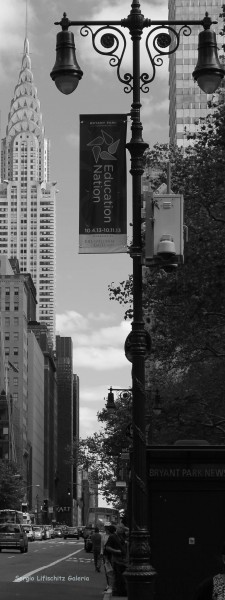 Foto 1/New York Vertical (tributo a Horst Hamann)